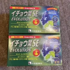 イチョウ葉SE evolution 2箱セット