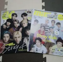 straykids 表紙雑誌