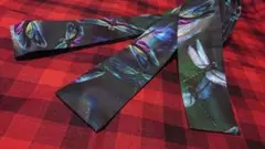 Item thumbnail for item b56de25a-0ad5-43f3-a091-025520d70e71