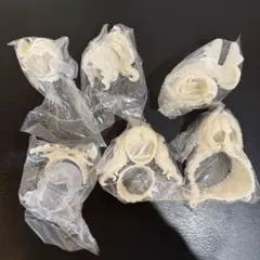 Item thumbnail for item 9e349a80-d2a2-430b-b395-84bd61533a7c