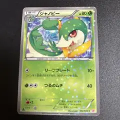 ジャノビー シャイニーコレクション SC