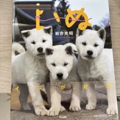 いぬ