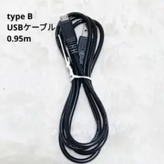 ✨️未使用✨️DSC-0 WX60 WX70 type B USBケーブル
