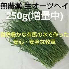 Item thumbnail for item f93cb099-13de-4484-87b9-e61388b84471