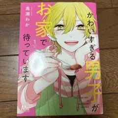 かわいすぎる男子がお家で待っています 高瀬わか　１巻
