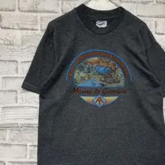 USA製90sヴィンテージTシャツ！シングルステッチ　グレー半袖古着　M715