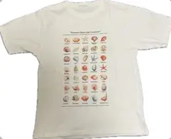 貝殻イラスト Tシャツ ホワイト