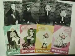 SPY×FAMILY スパイファミリー アニメイト 特典 ポストカード