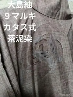 本場大島紬　袷　茶泥　９マルキ　舞蝶文様　正絹