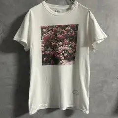 銀杏BOYZTシャツ 川島小鳥コラボ TangTang GOING STEADY
