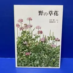 野の草花