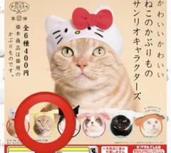 Item thumbnail for item 1aa654cd-581b-449a-b2ee-901ffedb767f