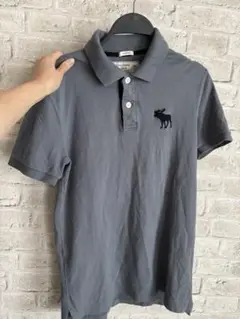 Abercrombie&Fitch ブルーグレー　ポロシャツ　XS