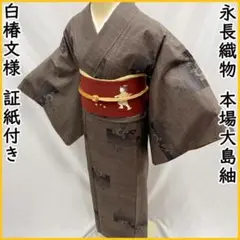 Item thumbnail for item 47ece271-a4d8-455e-aad8-bee6d73698e8