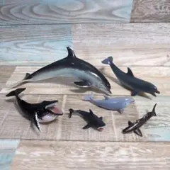 フィギュア 大〜小サイズ イルカ クジラ サメ 6個セット リアル