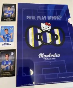 Item thumbnail for item 8fa65237-089e-44b4-a5bd-b90142a79028