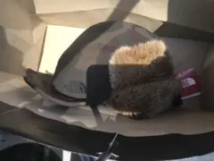 Item thumbnail for item 517cef9a-bae5-42f3-b825-c42c1b244321