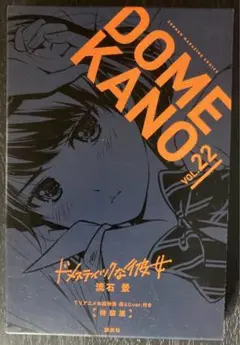 【ほぼシュリンク付き未開封】ドメスティックな彼女 特装版22-25巻セット Amazon.co.jp: TVアニメ本編映像 袋とじver.付き ドメスティック