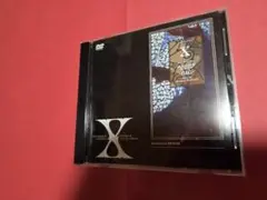 X/Blue Blood Tour 爆発寸前 GIG