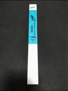 C106 コミケ106 午前入場　リストバンド　1日目