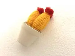 アルゼンチンニットサボテン