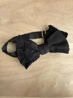 Item thumbnail for item e94c4280-c114-42df-9563-2c9a72b9a9f1