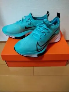 NIKE エアズームテンポネクスト%