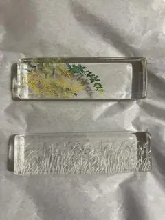 金津沙矢香　オブジェ　レア　2個セット