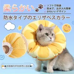 Item thumbnail for item 8e0dfc33-4d5f-46e0-803b-d4b4b6cd947f