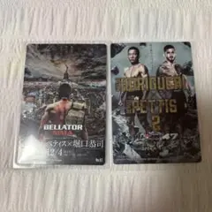 RIZIN ポテトスティック　ポスターカードコレクション　堀口恭司