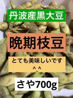 丹波産 黒大豆 黒豆 晩期枝豆 さや700g