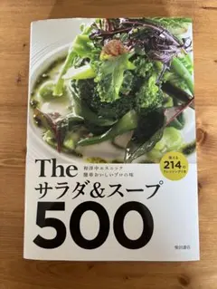 Theサラダ&スープ500