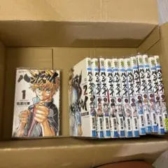 ハンザスカイ　全巻セット