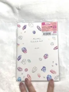 スケジュール帳 2023 手帳 B6 10月始まり 22年10月〜24年1月