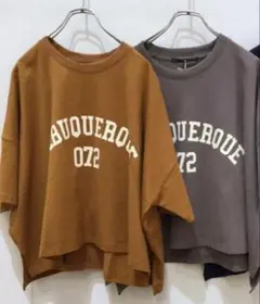 ロゴT M エプローブ ワイド カレッジロゴ Tシャツ カットソー　足長