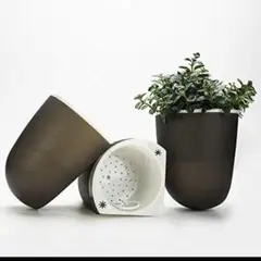 Item thumbnail for item c3d8b50c-89f5-4ba5-b7be-608f6cc5a446