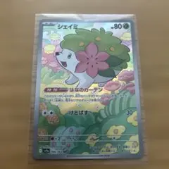 ポケモンカード　熱風のアリーナ　シェイミ　AR