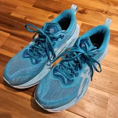 Item thumbnail for item 8b9b6f52-3f15-4b46-b5f1-9cf662fda868