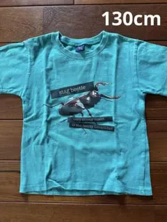 クワガタ プリント Tシャツ 緑　130cm