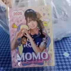 PayPayドーム2025年アサヒ売子カードMOMO