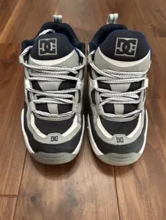 DC/TRUTH OG/スニーカー/スケート