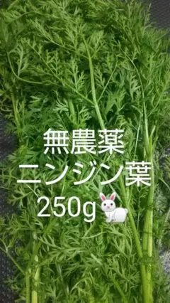 Item thumbnail for item 493c6953-45d1-44ae-820f-f7e9ee9c1bf5