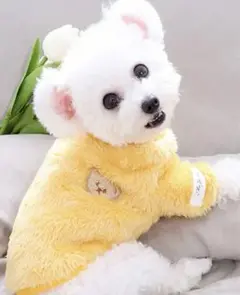 Item thumbnail for item c96e5cc9-a061-4839-8515-2aa76e984b07