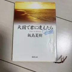 天国で君に逢えたら
