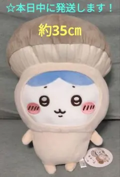 Item thumbnail for item 2ec12d5e-857e-4ecc-94b9-cbe1befe6bef