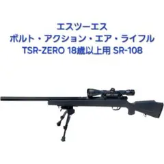 2025年最新】SIIS TSRの人気アイテム - メルカリ