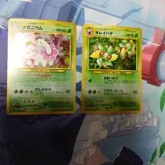 ポケモンカード　旧裏　メガニウム　キレイハナ セット