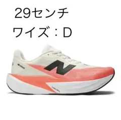 Item thumbnail for item 79a4d66c-50c6-4188-bf18-81e3ac17a6e5