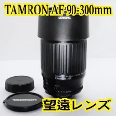 Item thumbnail for item 1275154d-8101-4ed2-9d06-90f6c6f28a92