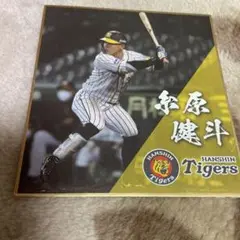 糸原色紙